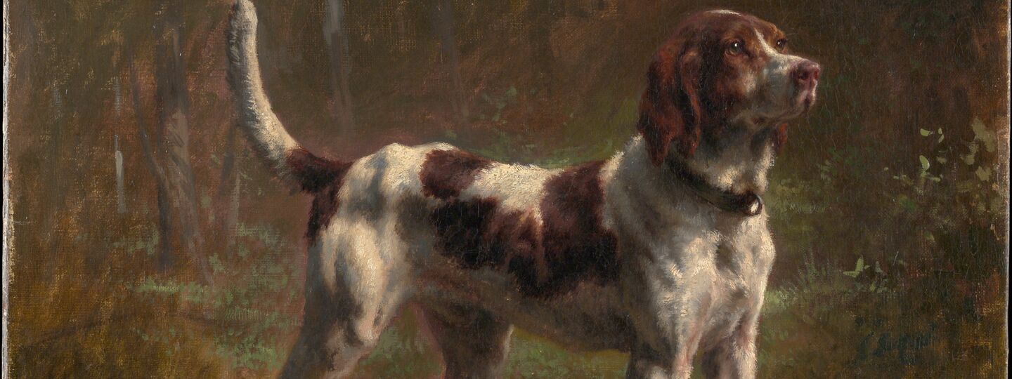 A Limier Briquet Hound, by Rosa Bonheur