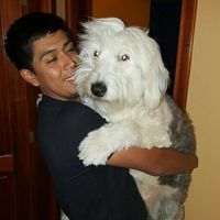 Christian Arellano