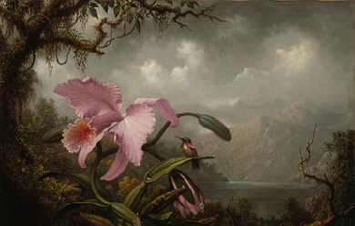 Orchid and Hummingbird, by Martin Johnson Heade