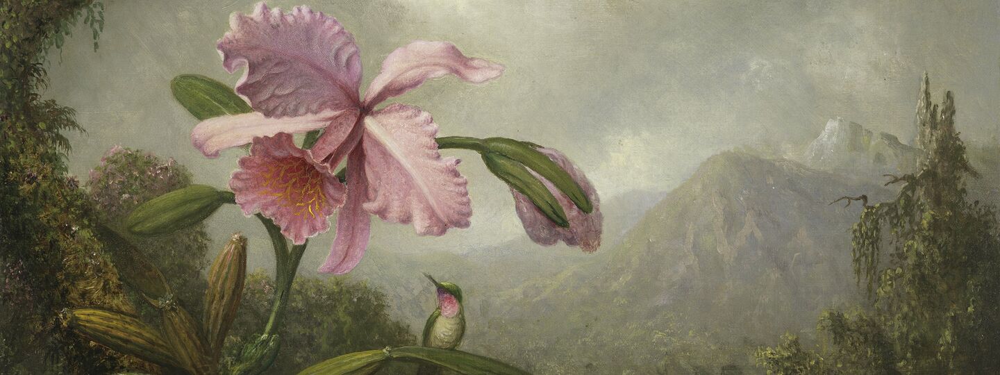 Orchid and Hummingbird near a Mountain Waterfall, by Martin Johnson Heade