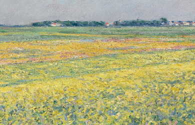 The plain of Gennevilliers, yellow fields, by Gustave Caillebotte