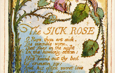 the garden of love william blake essay