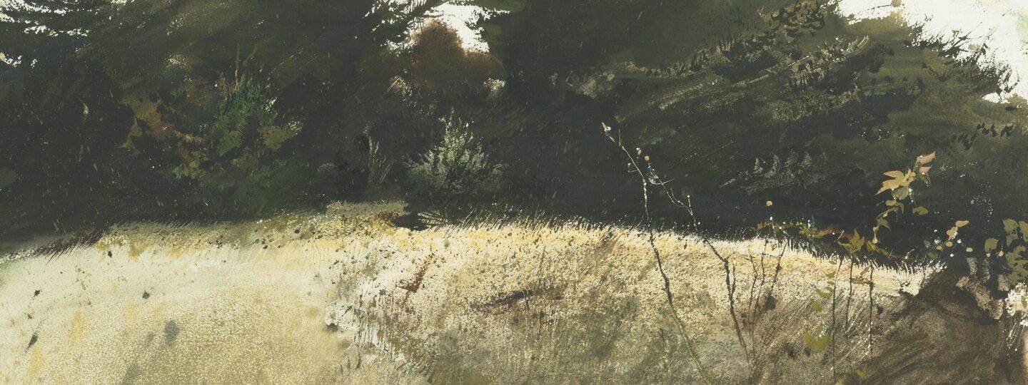 Fall Grasses, by Andrew Wyeth