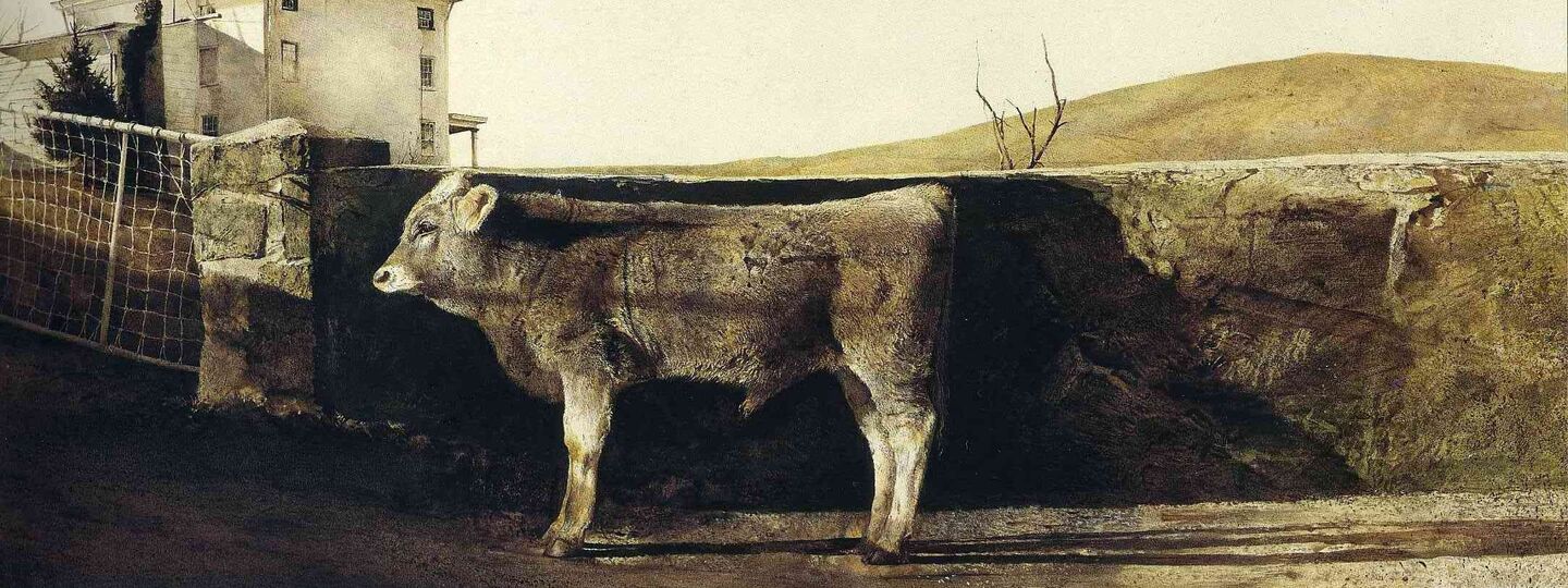Young bull, by Andrew Wyeth