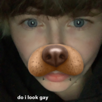 Sam Carew
